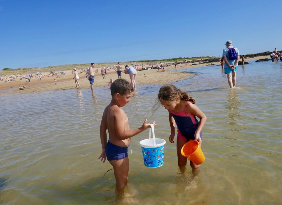 Vive la plage